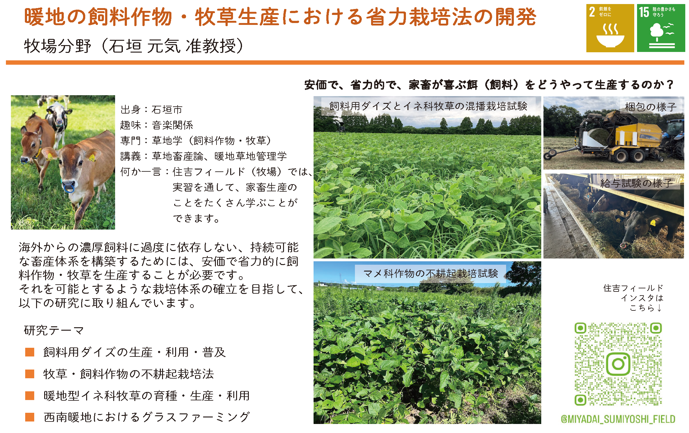 暖地の飼料作物・牧草生産における省力栽培法の開発