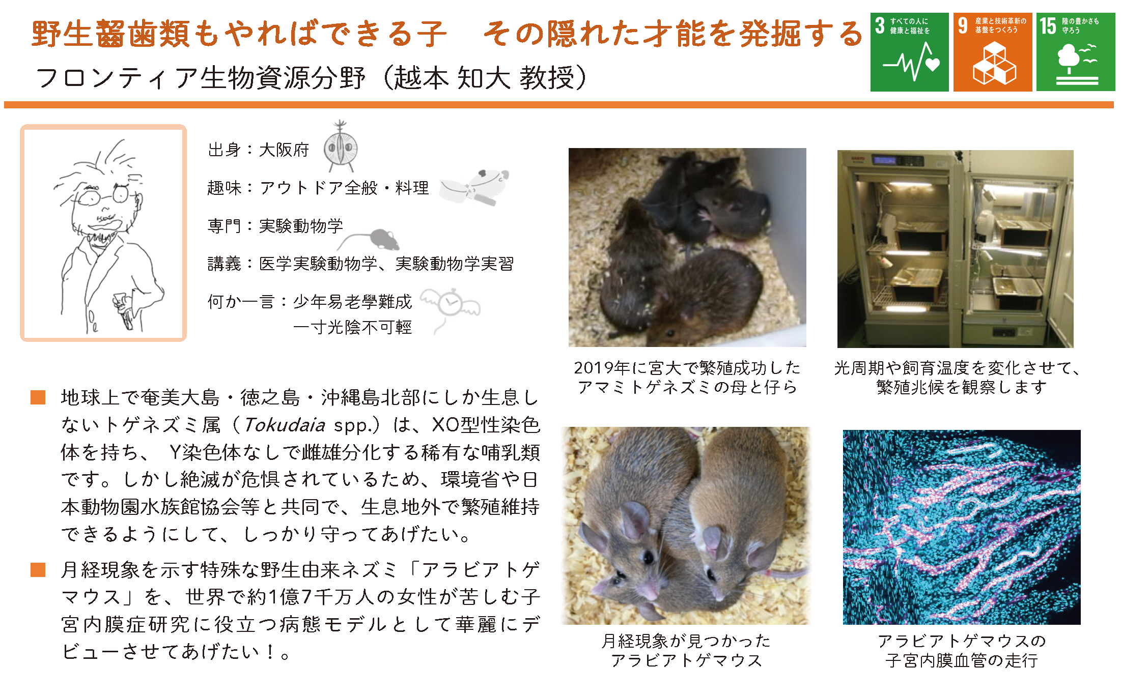 野生齧歯類もやればできる子その隠れた才能を発掘する