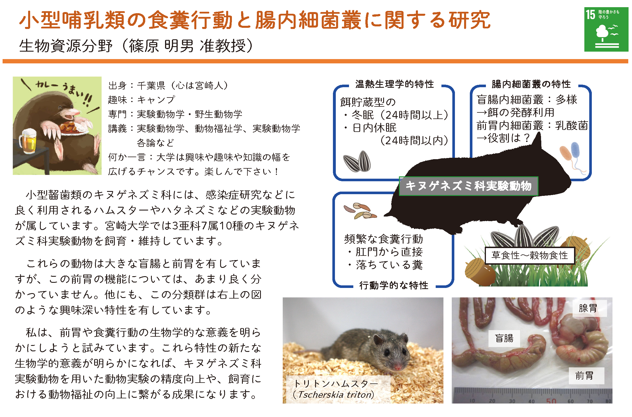 小型哺乳類の食糞行動と腸内細菌叢に関する研究