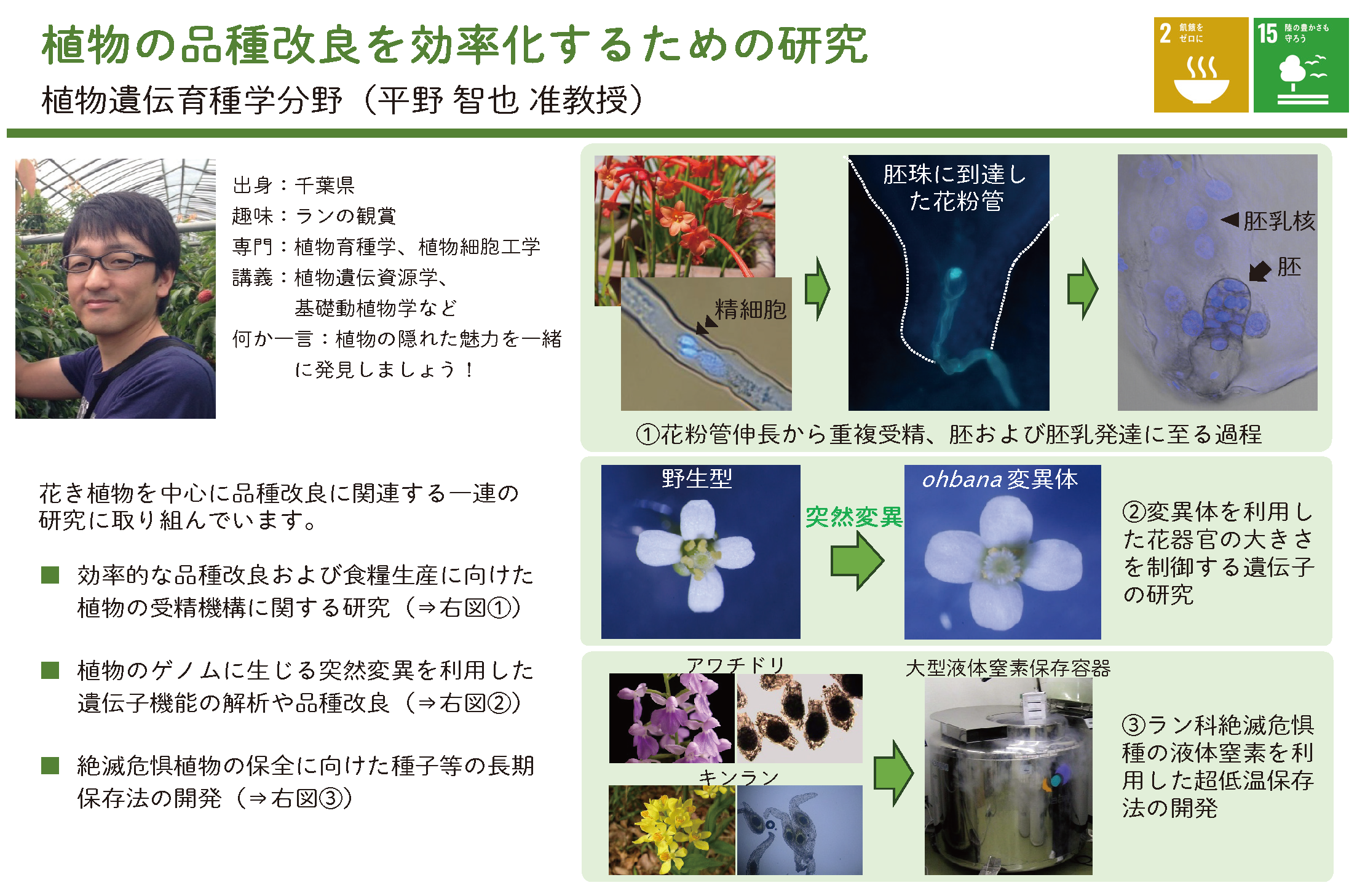花きの品種改良に関する研究についての詳細