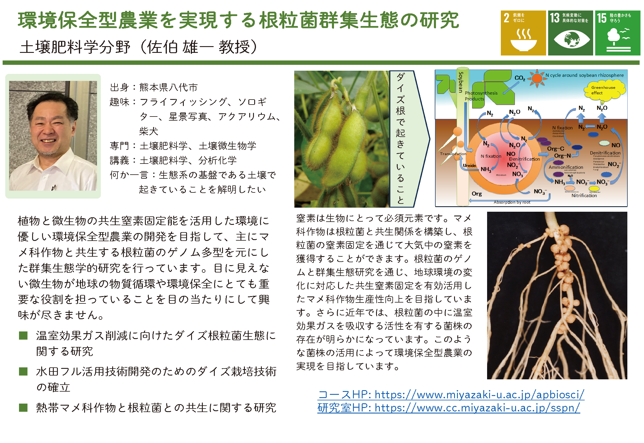 根粒菌のゲノム生態学的研究についての詳細