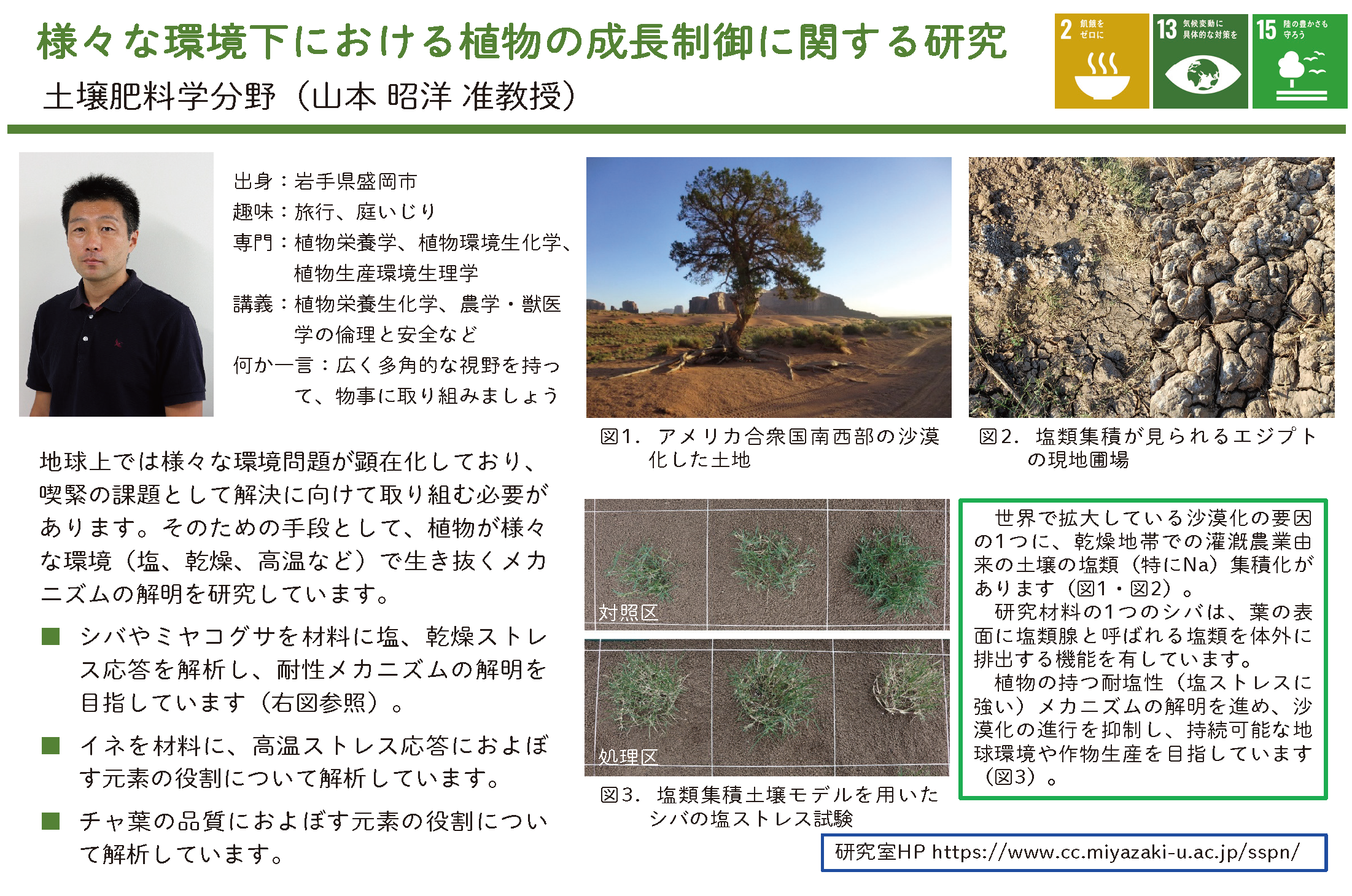 様々な環境下における植物の生長制御に関する研究についての詳細