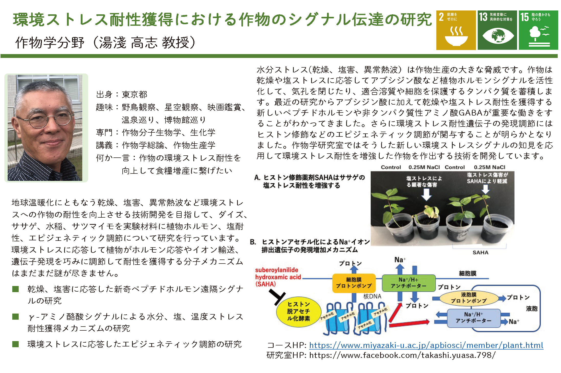 作物の収量・環境ストレス耐性の向上に関する研究についての詳細