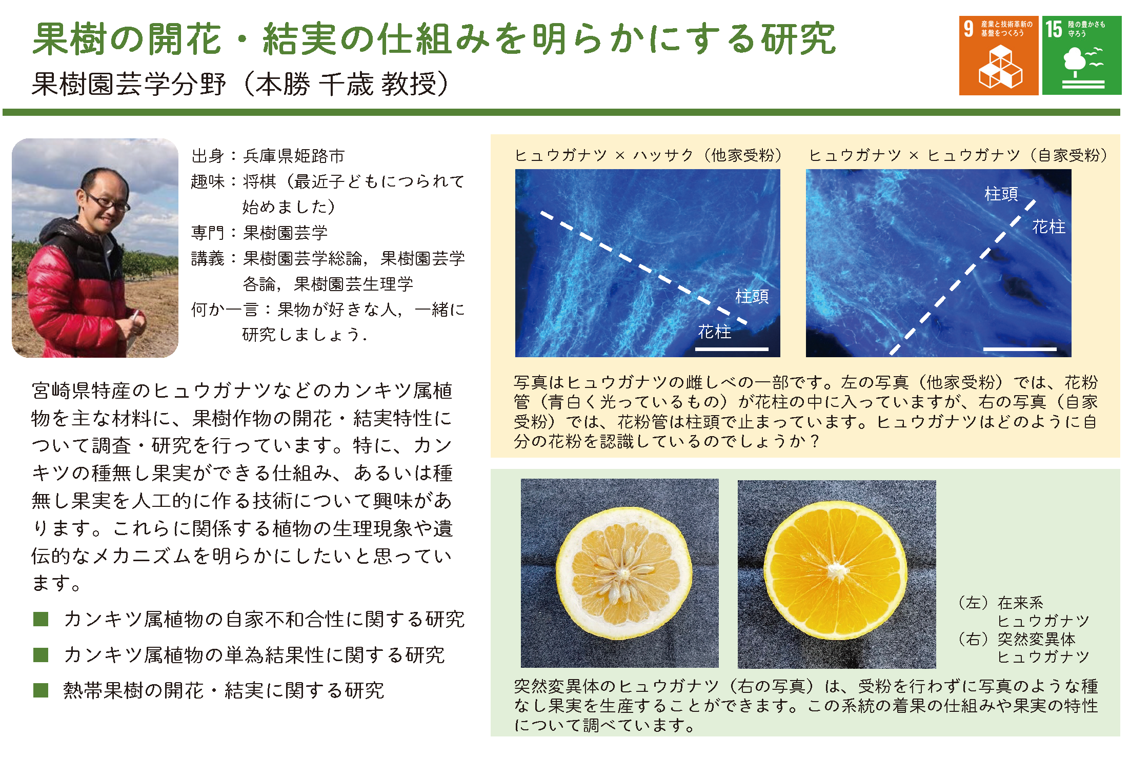 果樹園芸学についての詳細