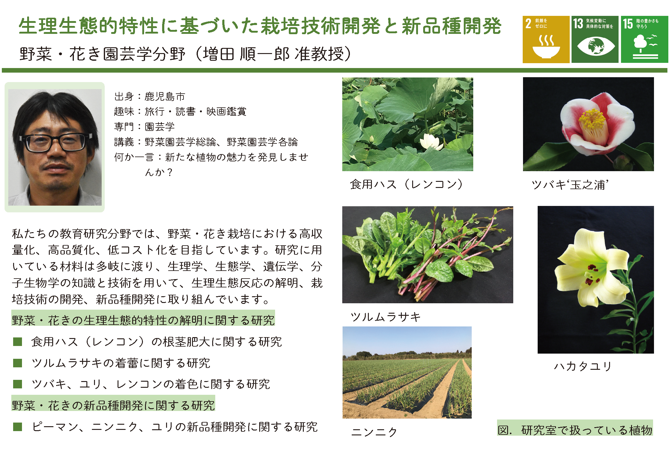 野菜・花きにおける育種と栽培技術の開発に関する研究についての詳細