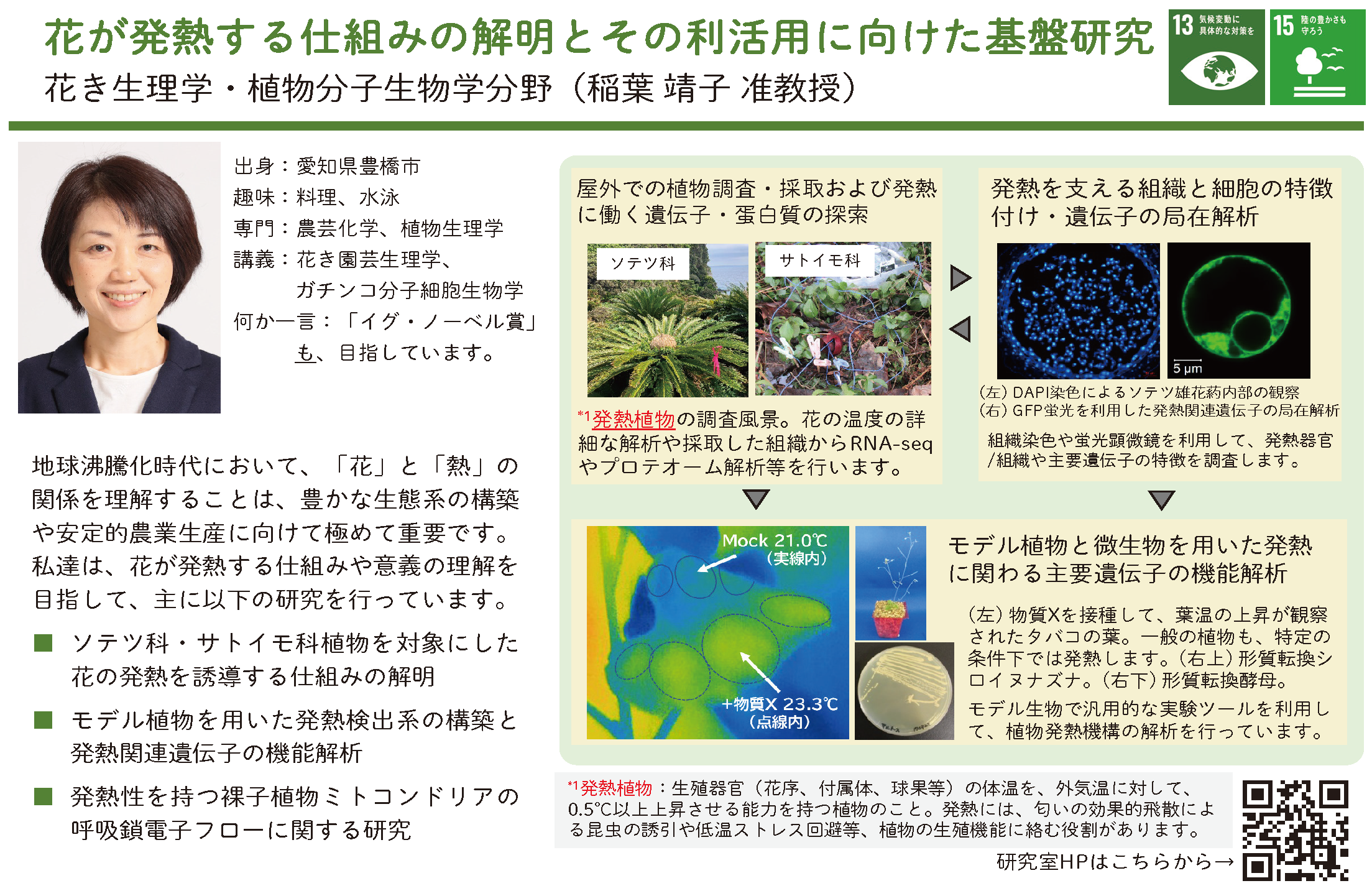 植物の生殖器官における熱産生機構とその利用に関する研究についての詳細