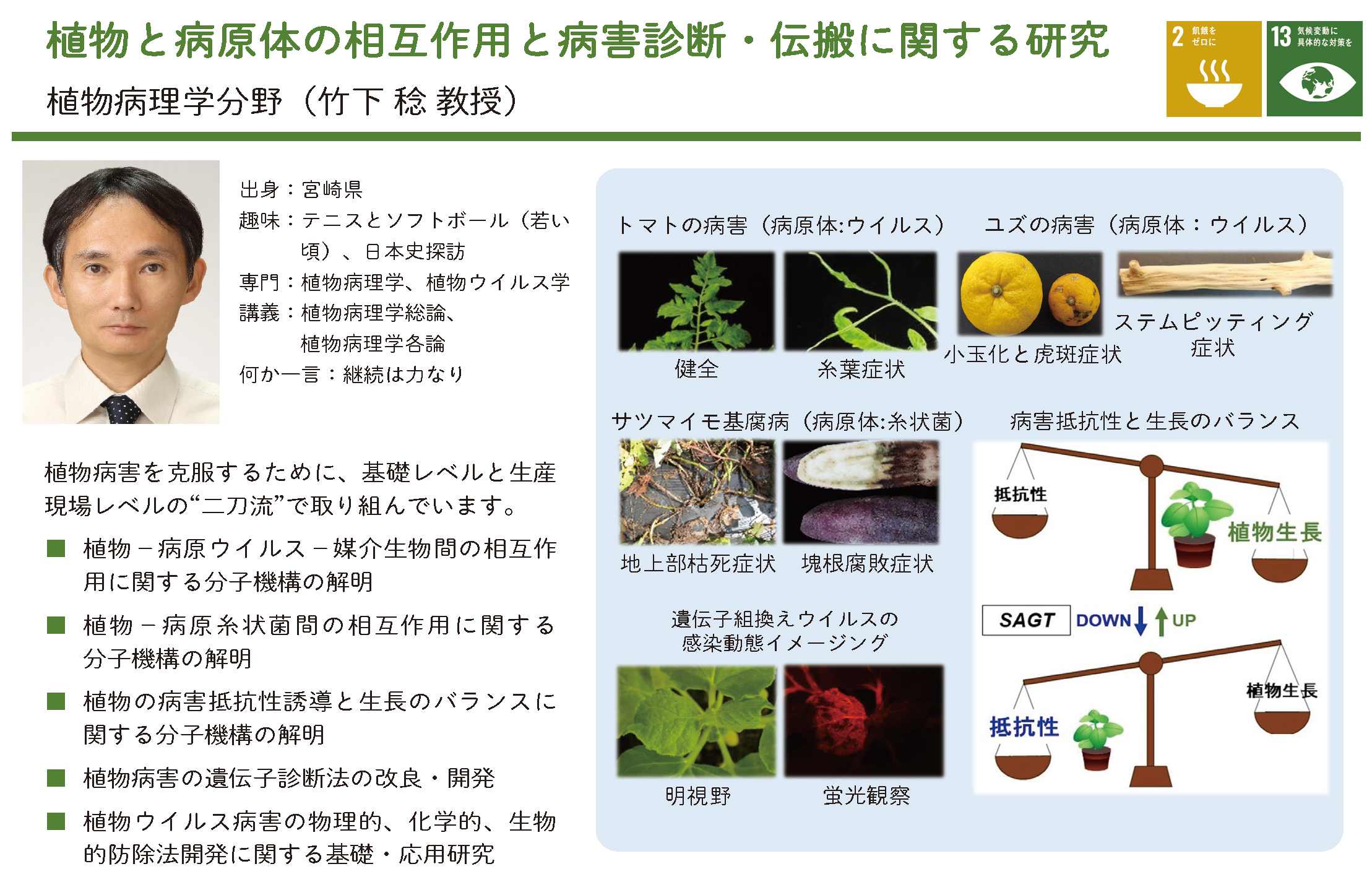 植物ーウイルス間相互作用と媒介昆虫による植物ウイルスの伝搬に関する研究についての詳細