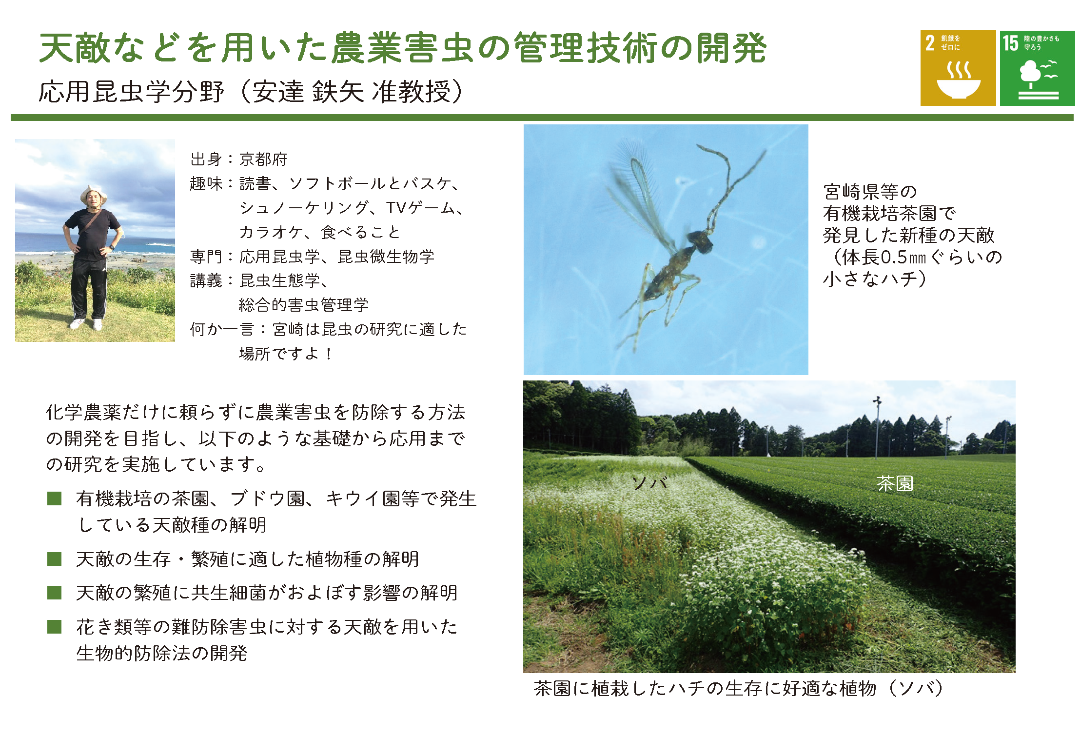 生物的防除を基幹とした総合型害虫管理に関する研究についての詳細