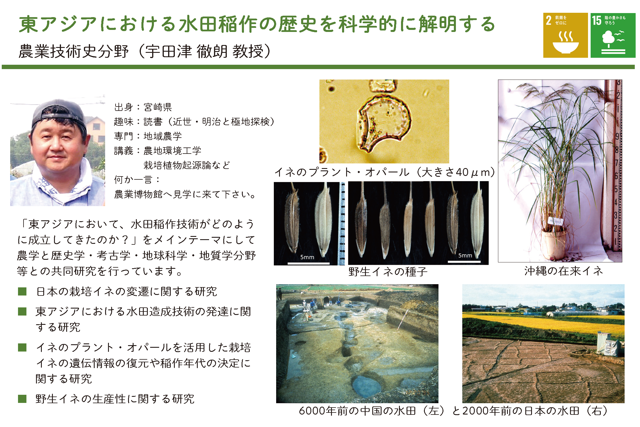 東アジアにおける環境と共生した水田稲作技術の変遷に関する研究についての詳細