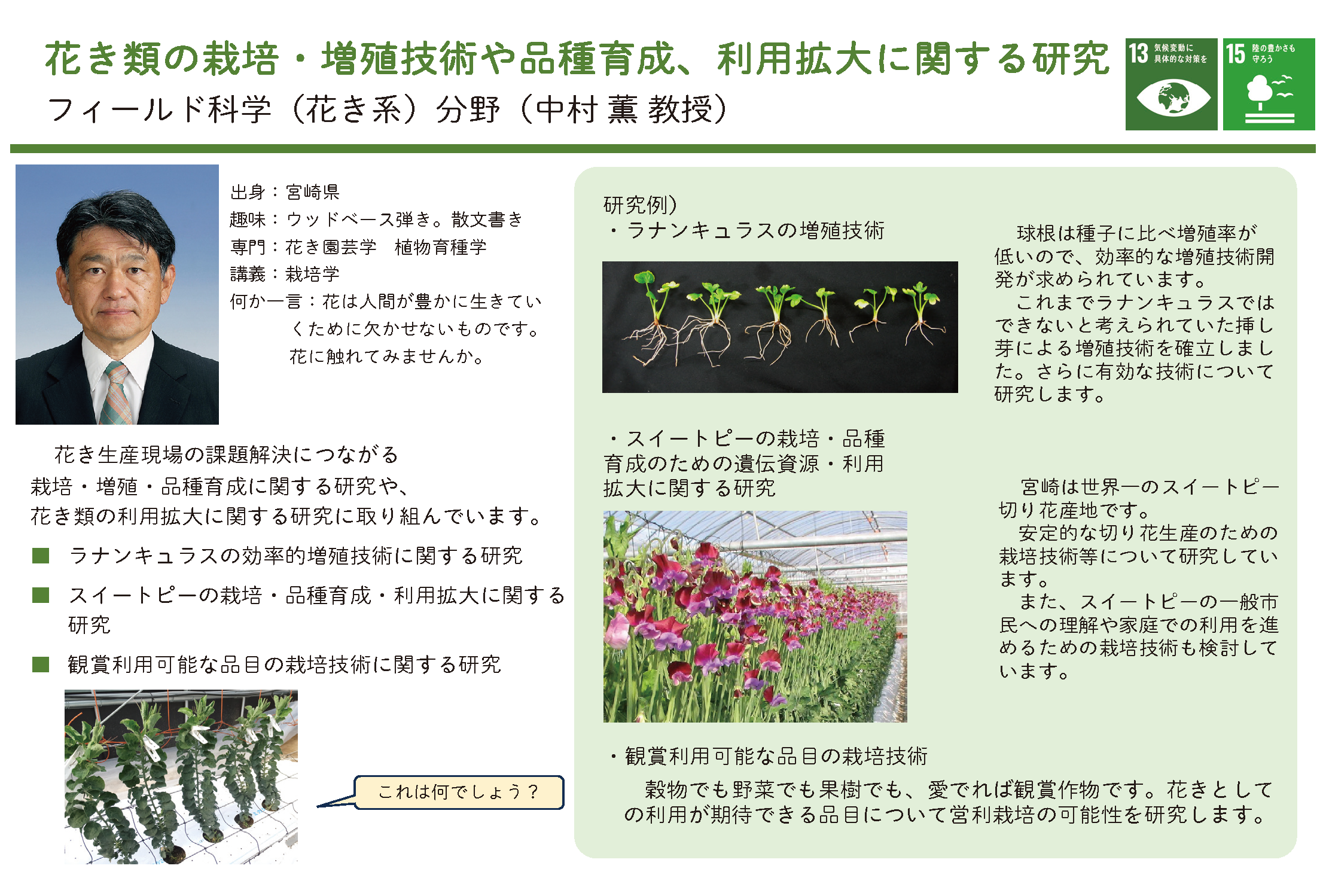 フィールド科学についての詳細