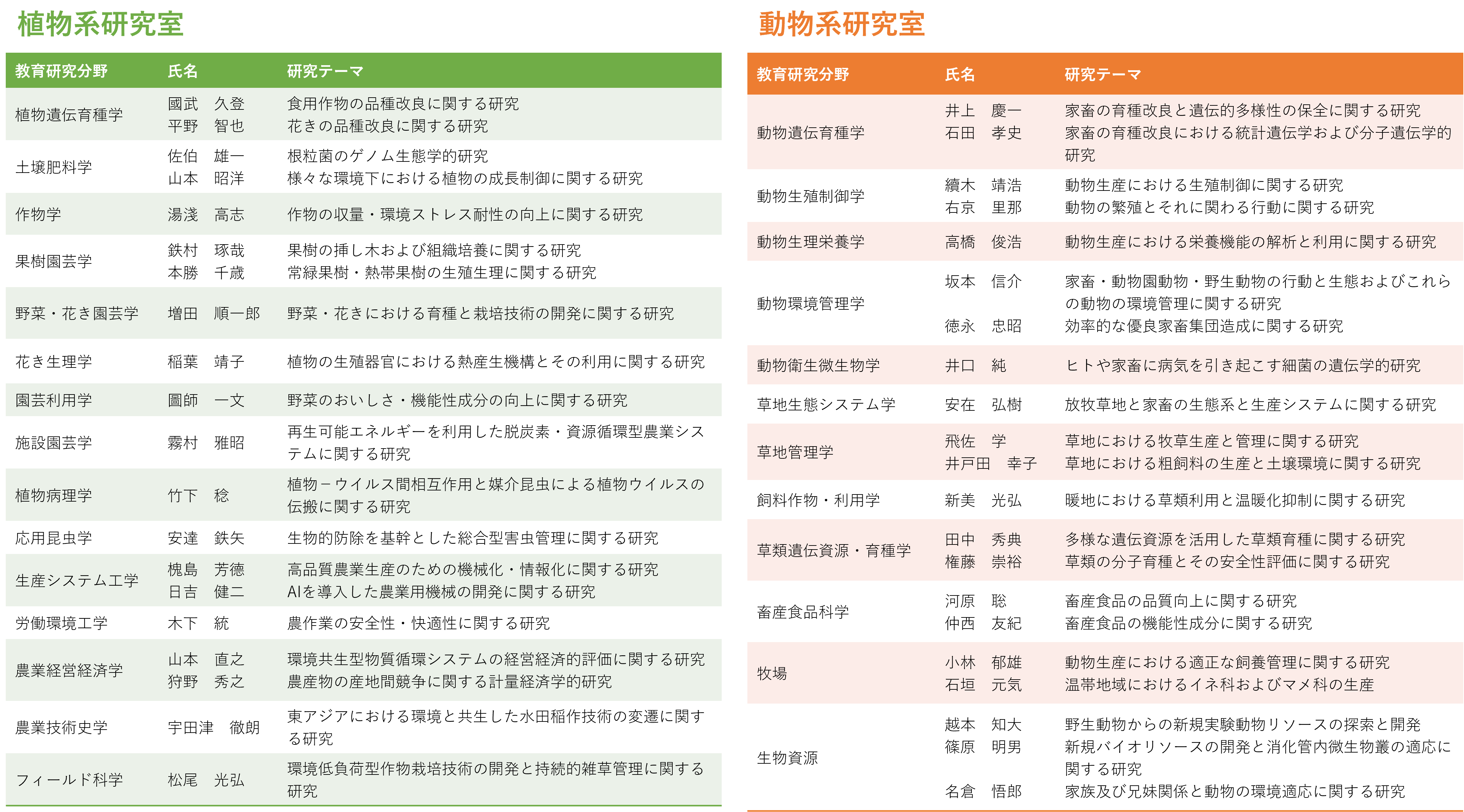 教員一覧