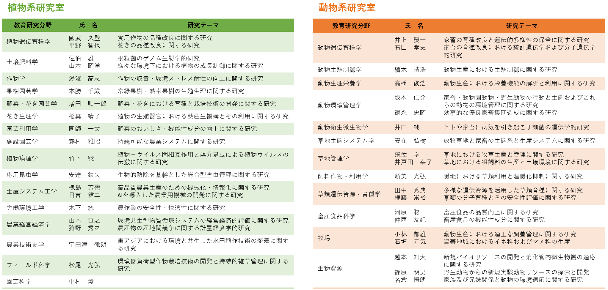 教員一覧