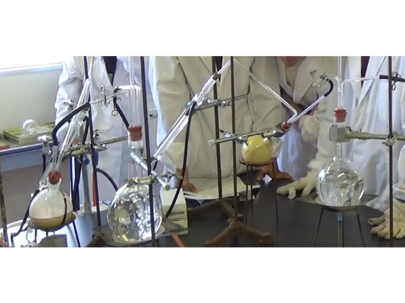 有機化学実験の様子