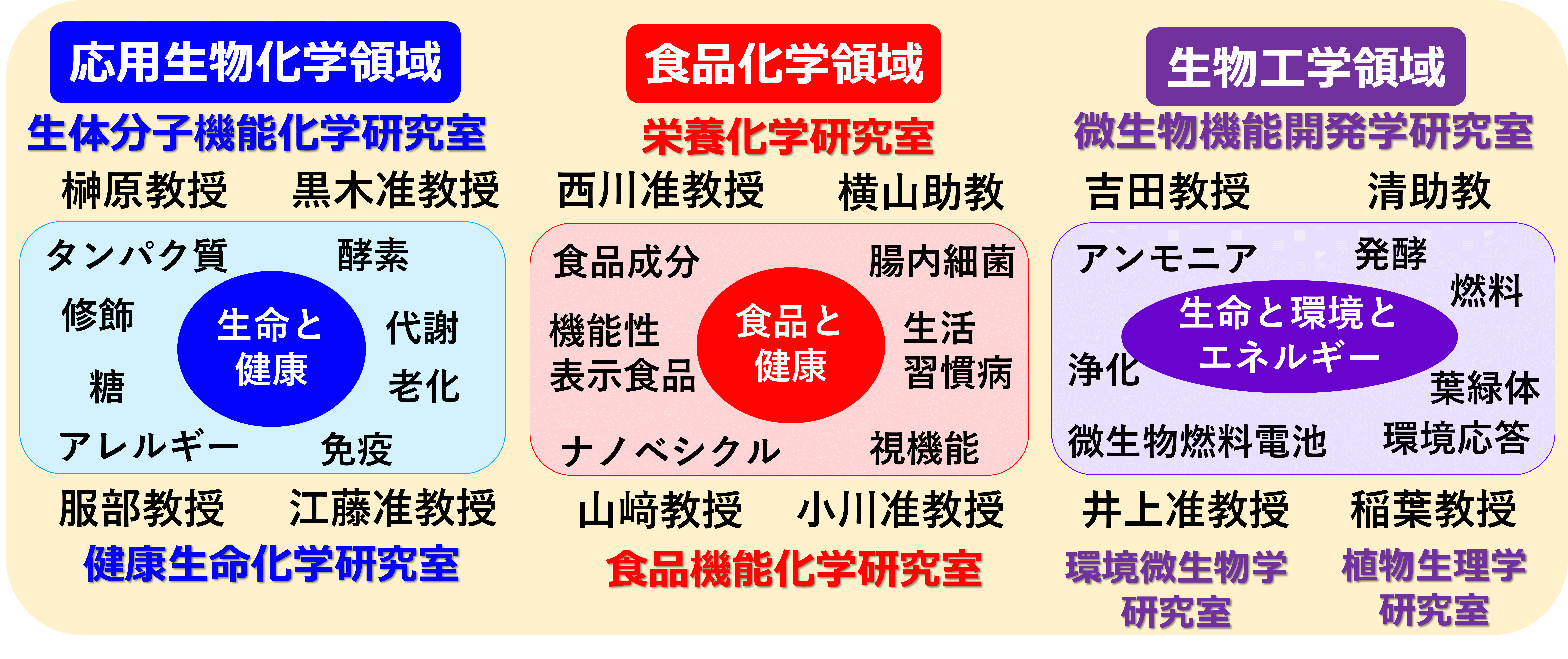 応用生命化学に関する卒業研究の図