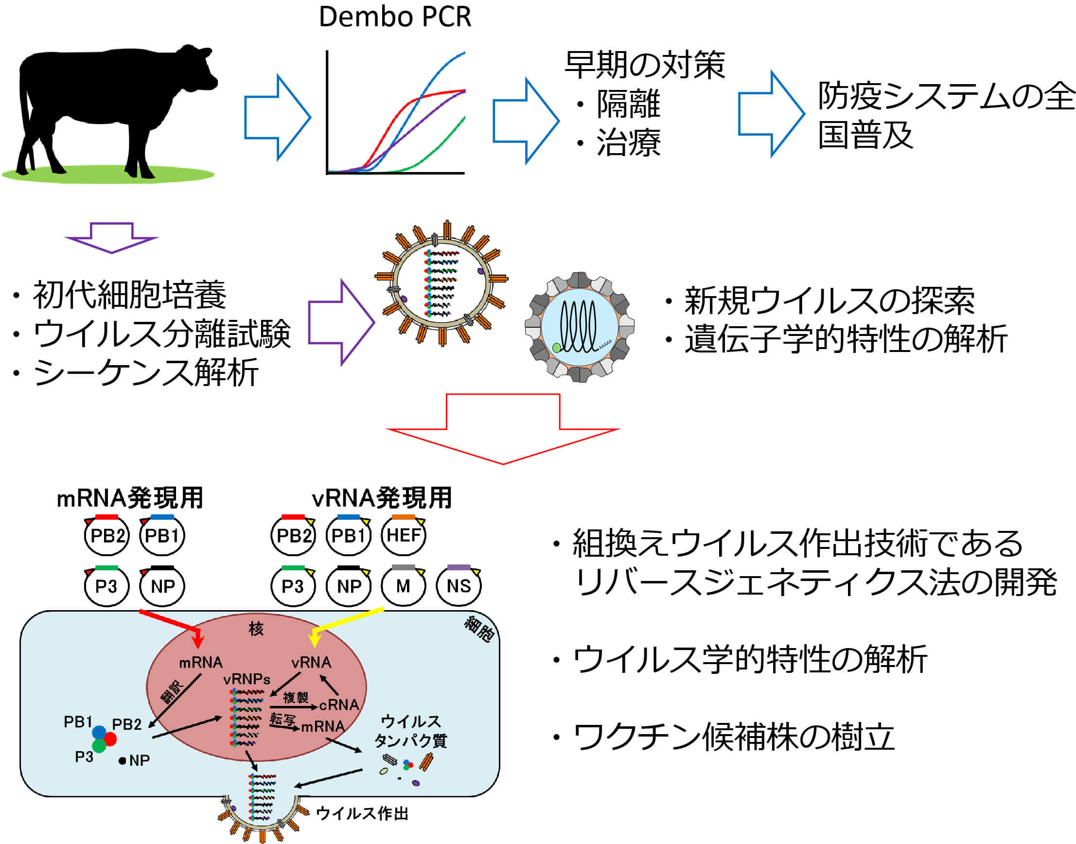 酪農学園大学獣医学群
