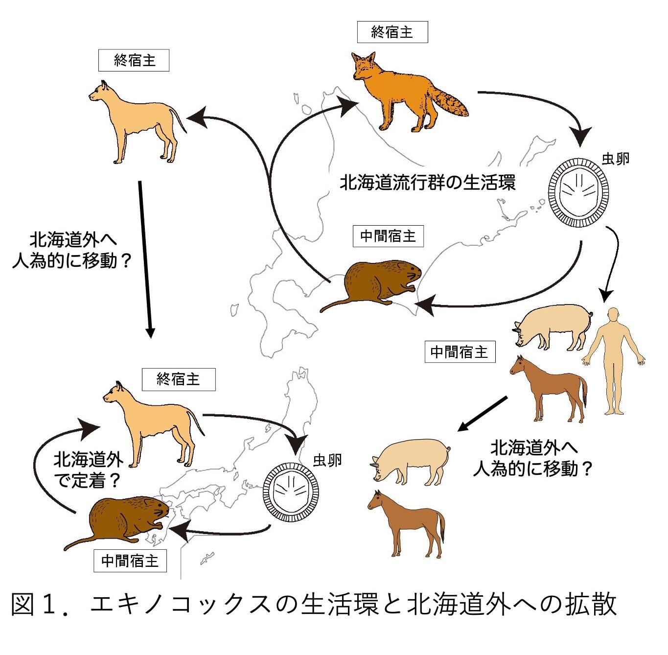 hokkaido_01.jpg