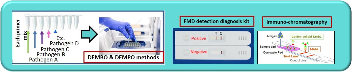 Development of diagnosis for major livestock diseases