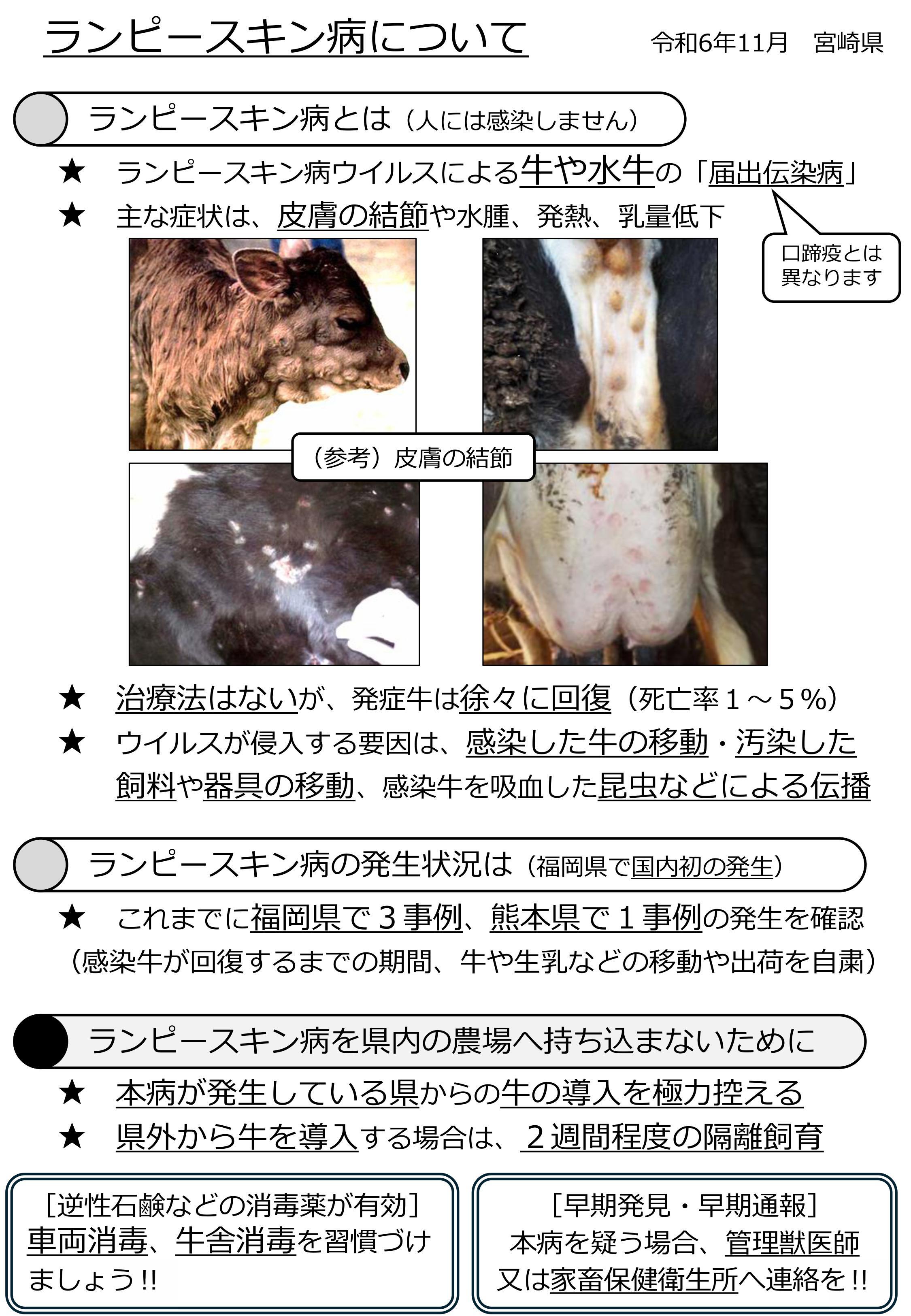 ランピースキン病について（啓発資料）.jpg