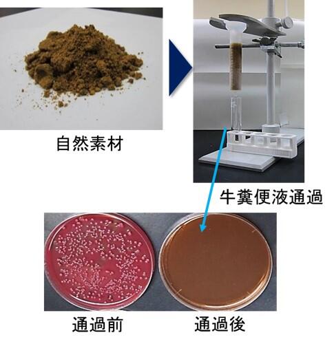 微生物吸着・殺菌素材