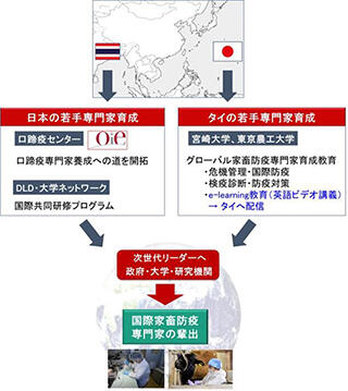 人材育成プランの図