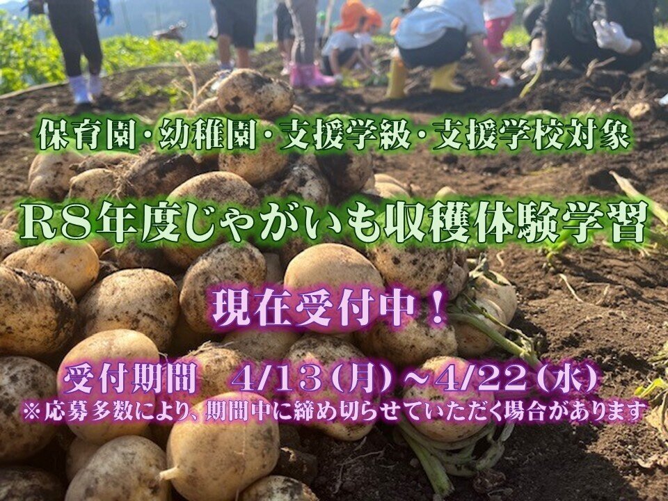 20260414幼保じゃがいも.jpg
