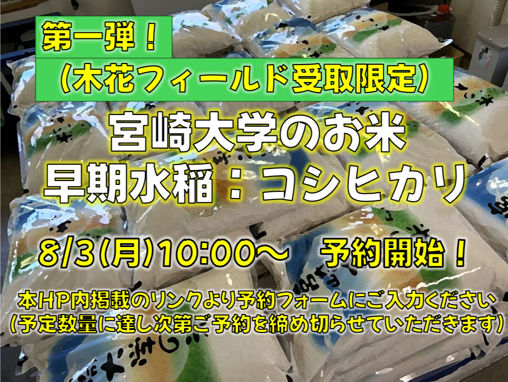 2026コシ1.png