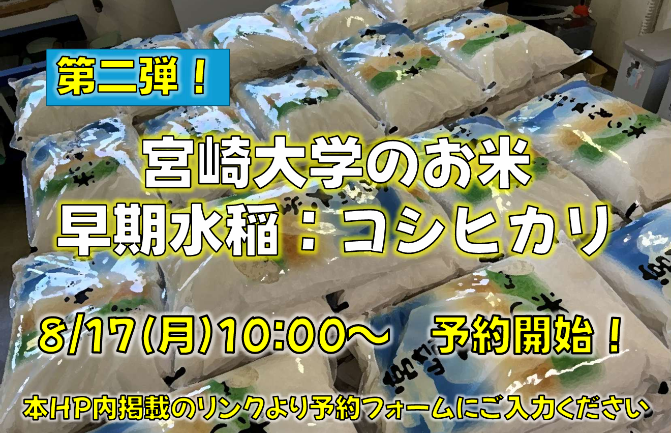スクリーンショット (13).png