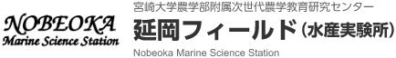 宮崎大学農学部附属 次世代農学教育研究センター 延岡フィールド（水産実験所）