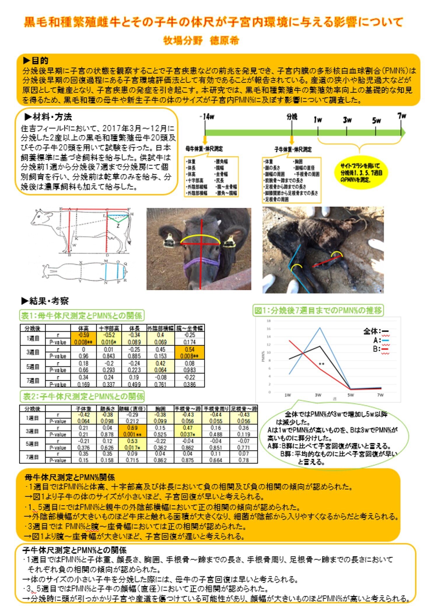 黒毛和種繁殖雌牛とその子牛の体尺が子宮内環境に与える影響について.jpg