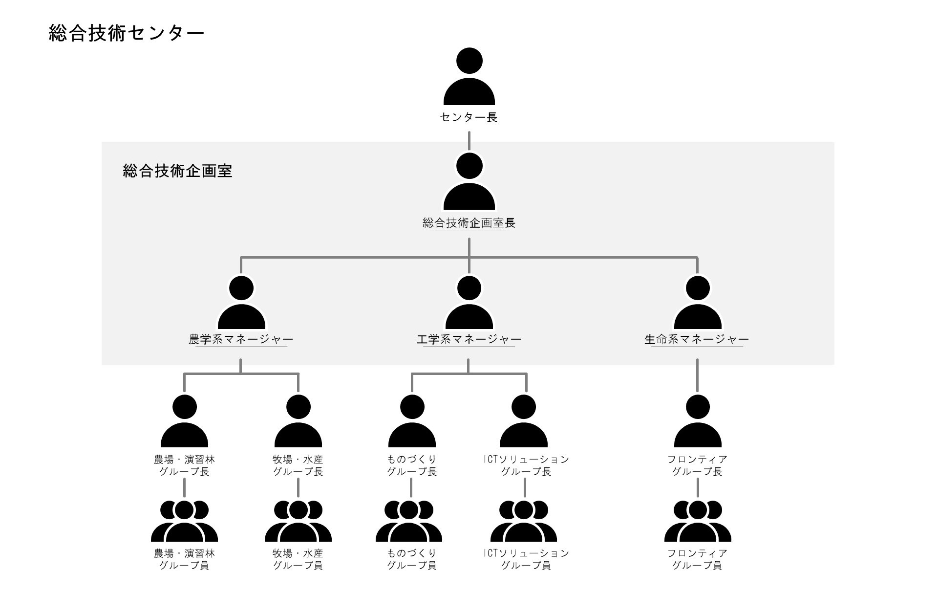 Organogram Image