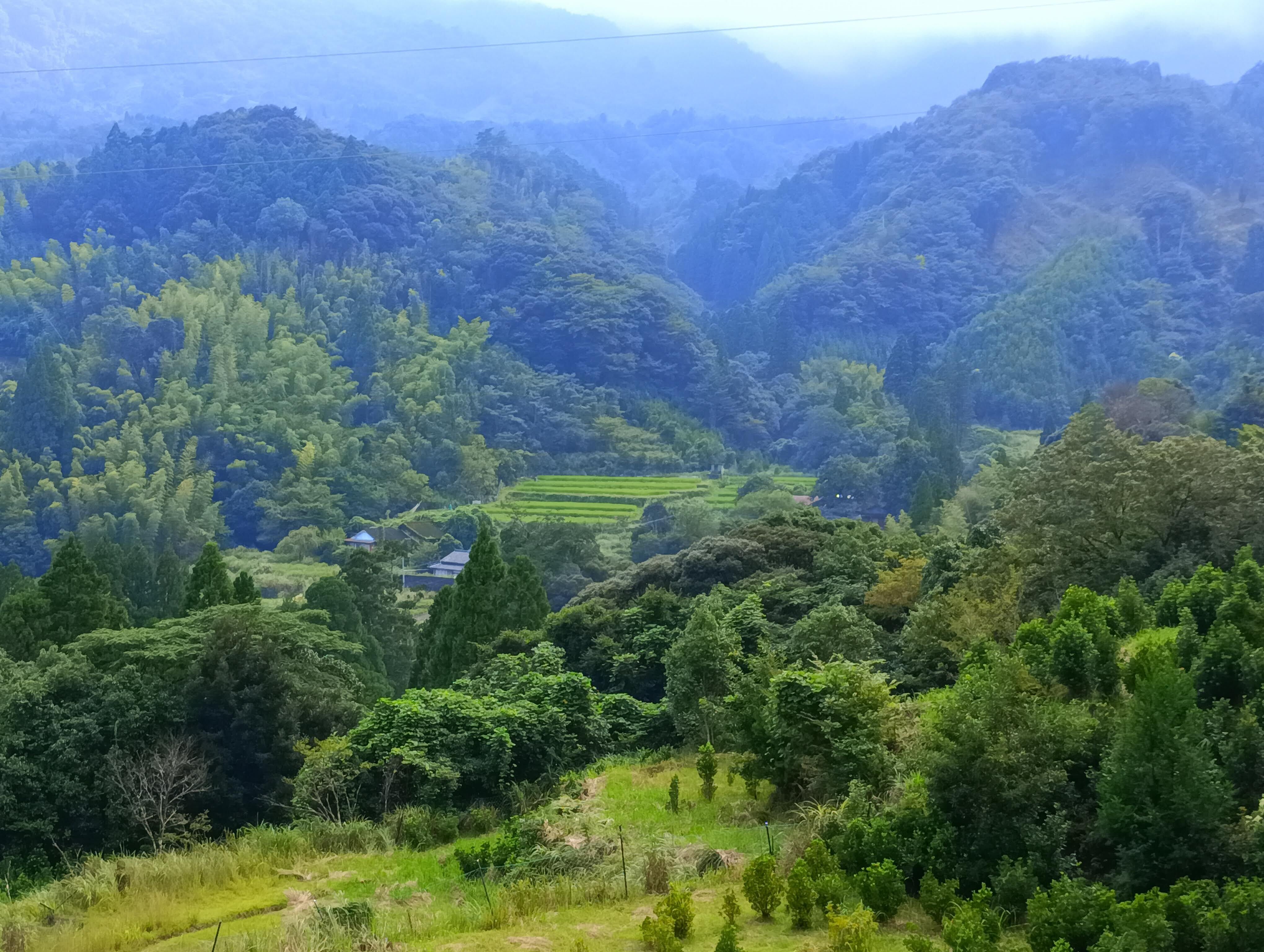 延岡里山