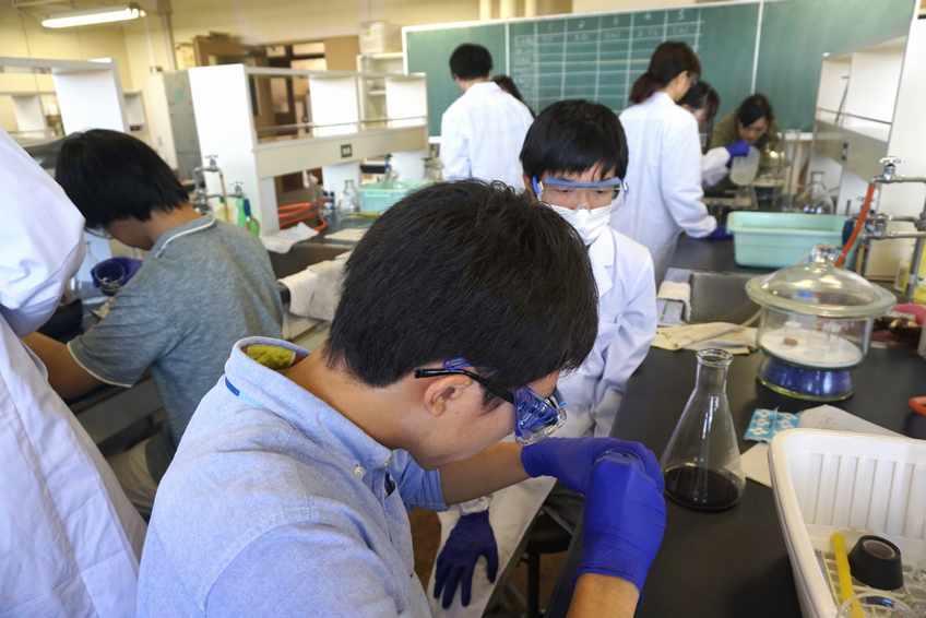 森林バイオマス科学の実験風景