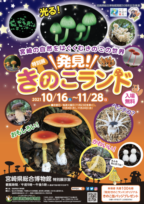 きのこランド10月16日ー11月28日.png