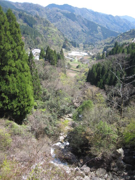 toroku01 (2).JPG