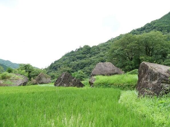 toroku01 (8).JPG