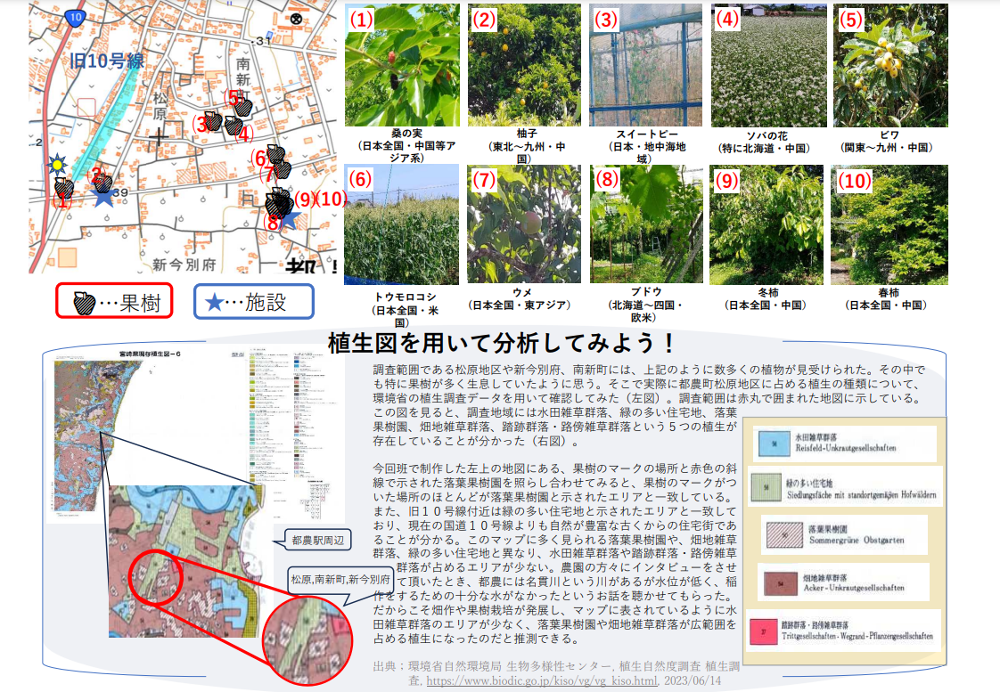 専用 宮地まとめ① HP掲載用17班1.png