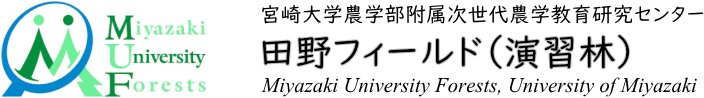 宮崎大学農学部田野フィールド（演習林）