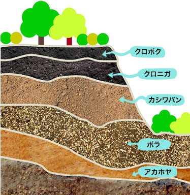 みやざきの土壌 キッズページ