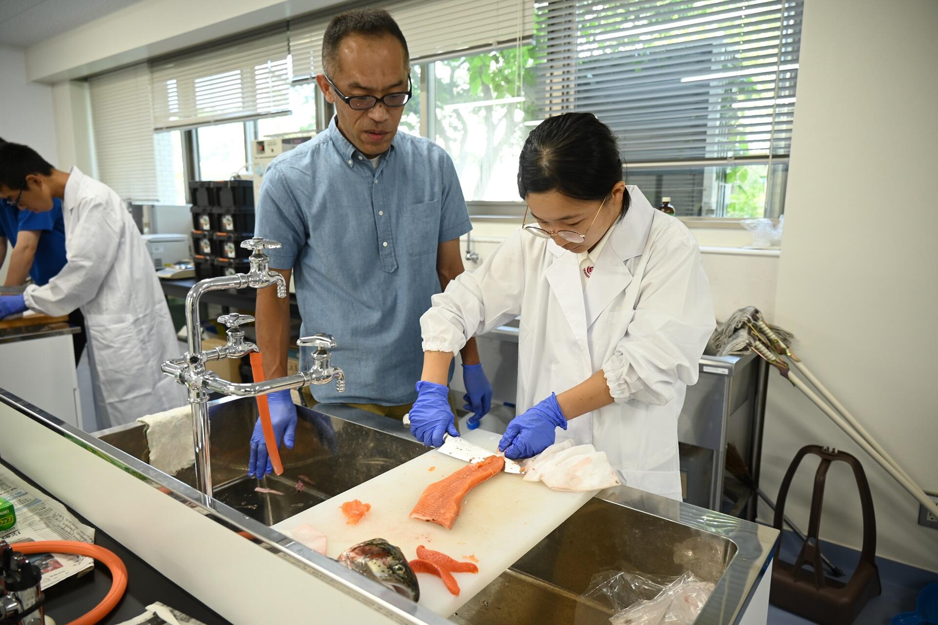 魚のおいしさについて学ぼう
