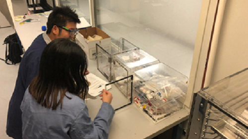 最高性能値を有する高効率n型熱電変換材料の開発～独自技術で高効率