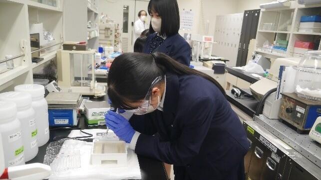 Fの様子