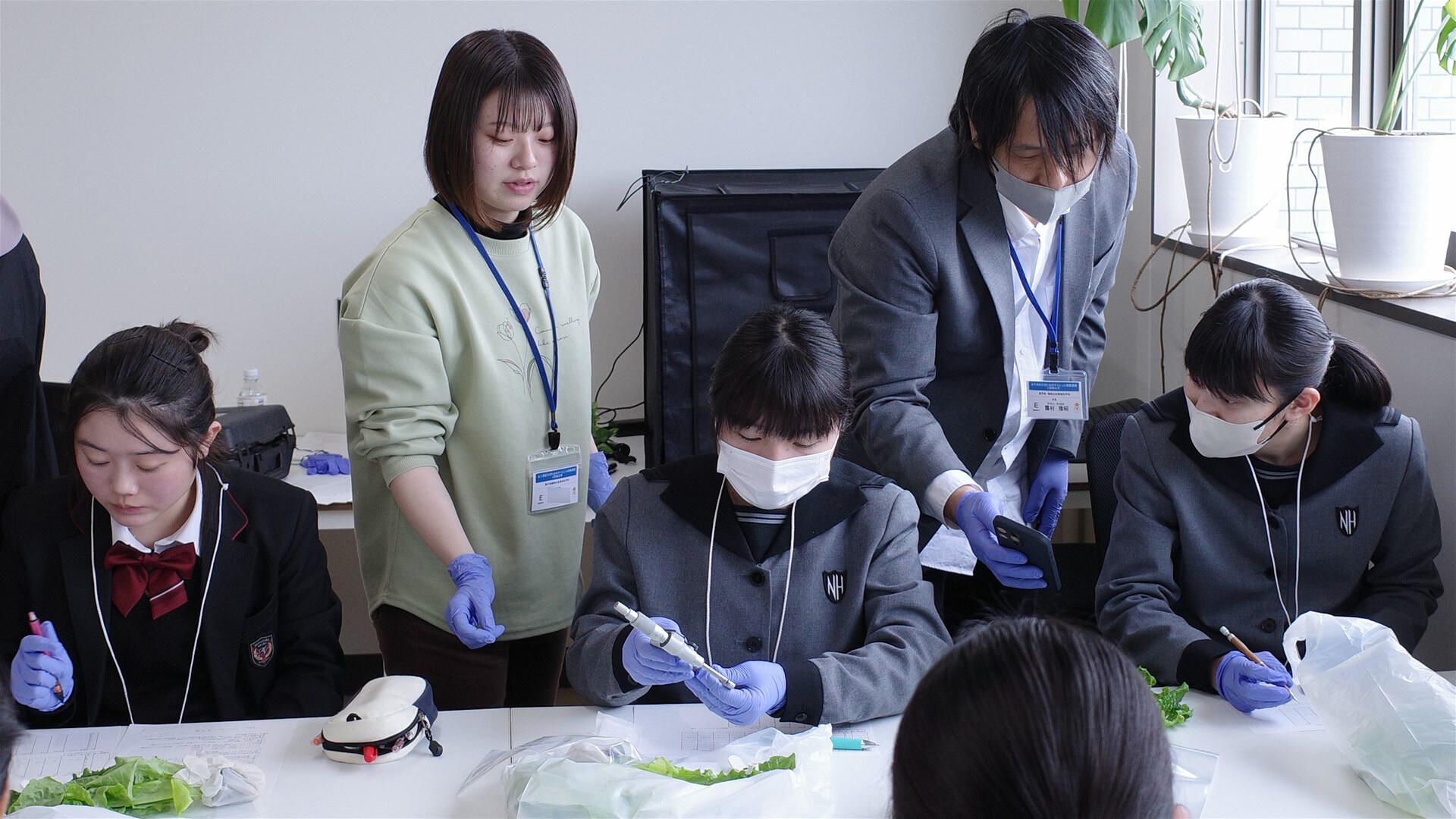 Eの様子
