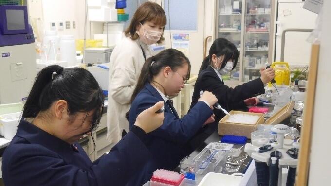 Fの様子