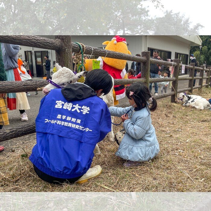 宮崎大・住吉牧場で宮大牛乳が限定復活