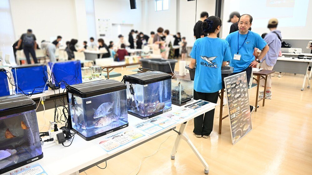 農学部ミニ水族館