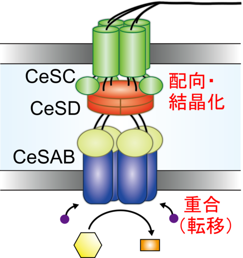 図2.png