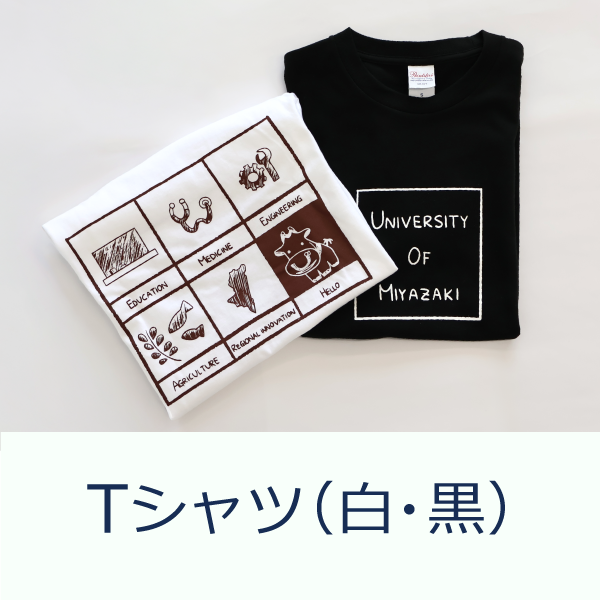 UoM_goods11.png