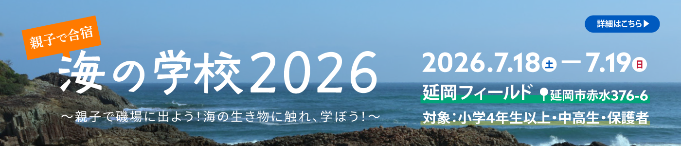 親子で合宿、海の学校2026（締め切り7月3日（金））