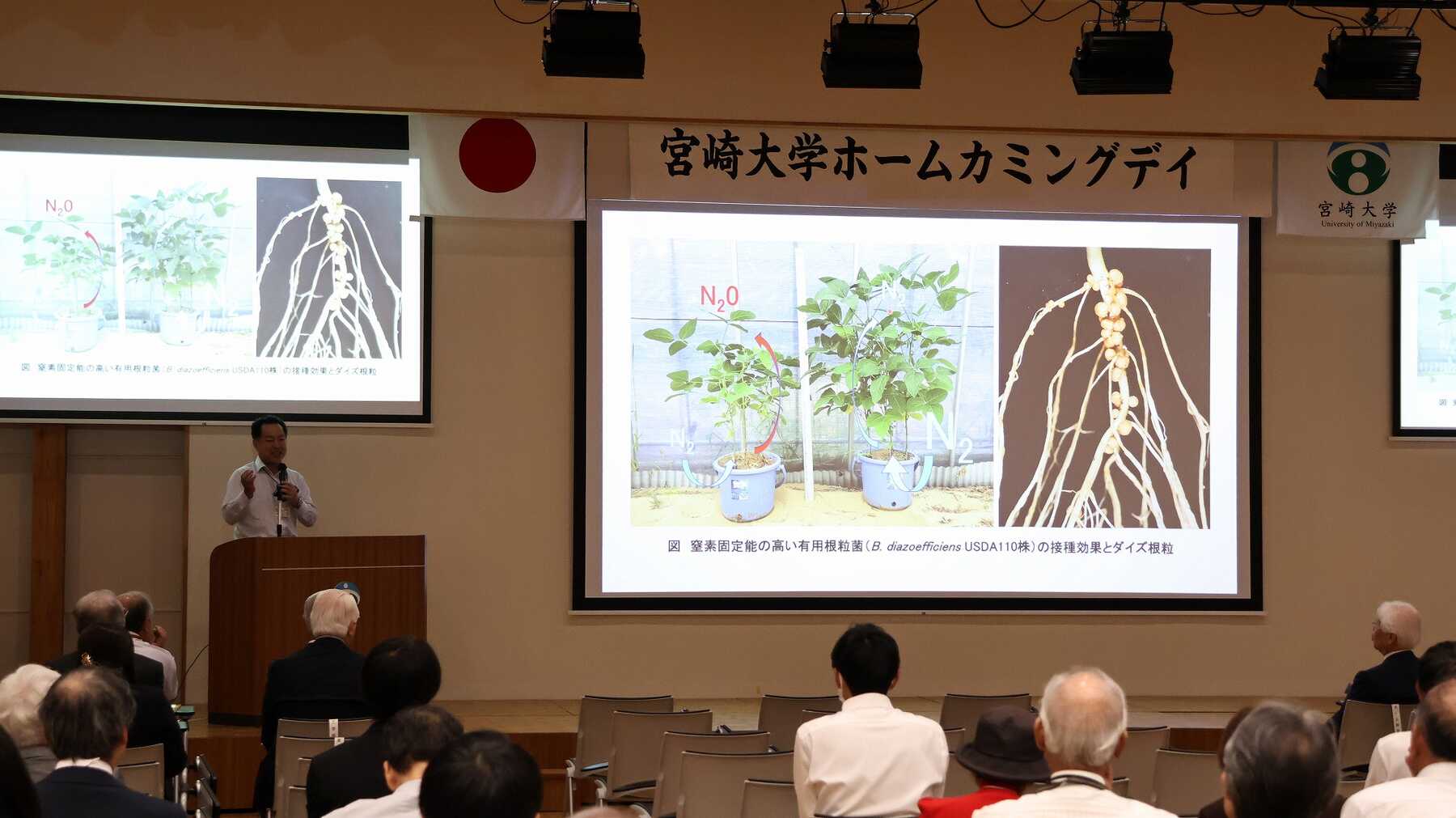 宮崎大学（教育学部・医学部〈看護学科〉・工学部・農学部・地域資源